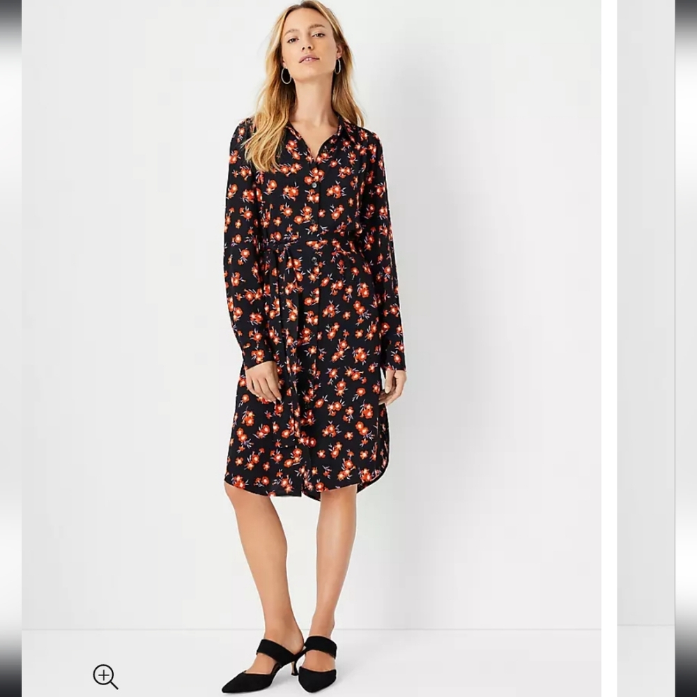 Ann Taylor Floral Belted Dress